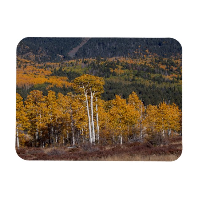 Ímã Hart Prairie (Horizontal)