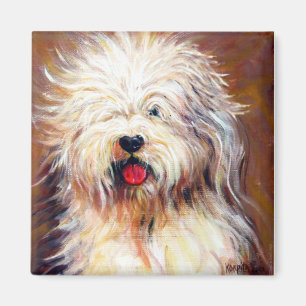 Imã Harvey - cão de carneiros inglês velho