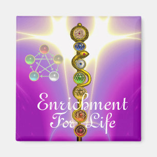 IMÃ HASTE DE ASCLEPIUS 7 CHAKRAS, IOGA, ENERGIA