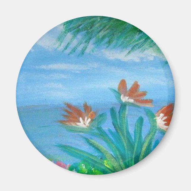 Imã Havaí (Frente)