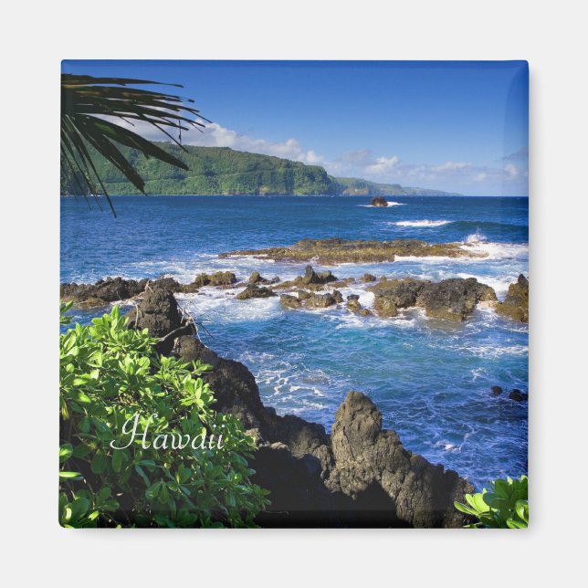 Imã Havaí lindo (rotulado) (Frente)