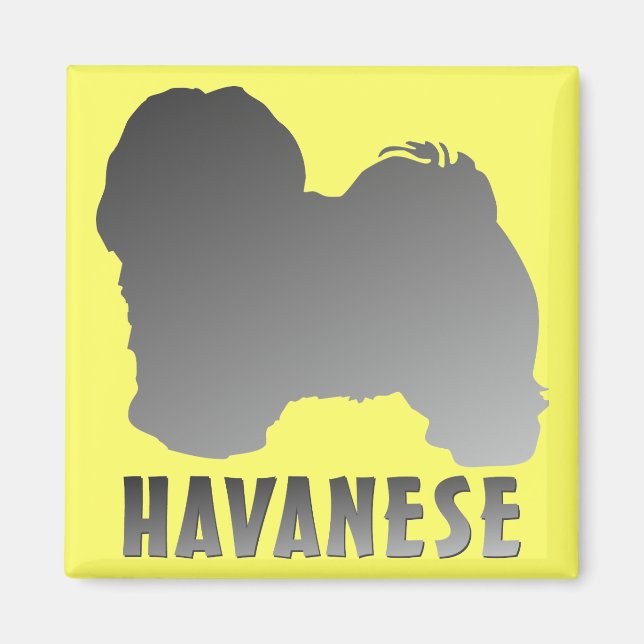 Imã Havanês (Frente)