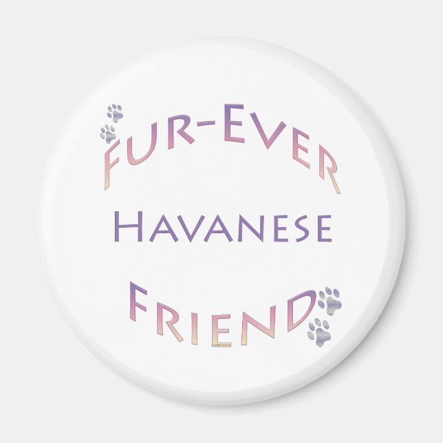 Imã Havanese Fuore (Frente)