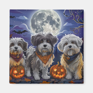 Imã Havanese Halloween Spooky