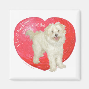 Imã Havanese / Westie Mistura Dia dos Namorados