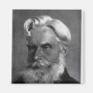 Imã Havelock Ellis