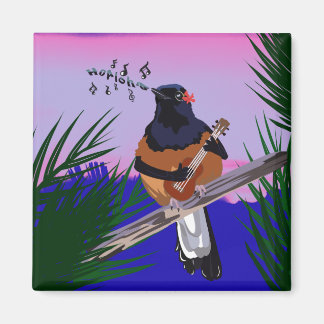 Imã Hawaiai Shama Bird tocando ukulele
