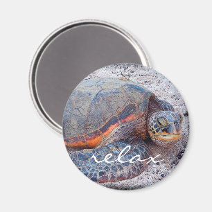 Imã Hawaii honu tropical tartaruga-tropical