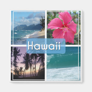 Imã Hawaii Seascape
