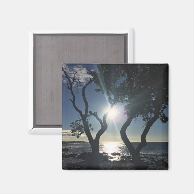Imã Hawaii Sunlit Trees Ocean Shore Color Fotografia (Front/Back)