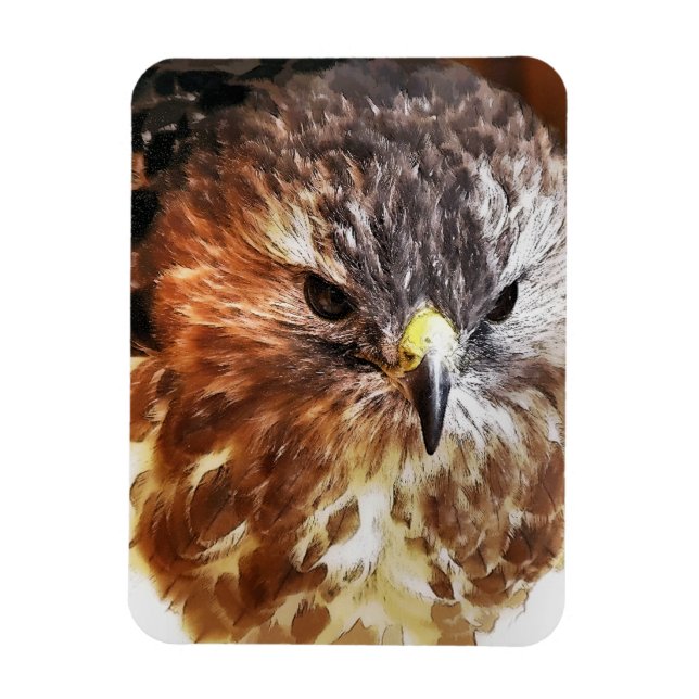 ÍMÃ HAWK (Vertical)