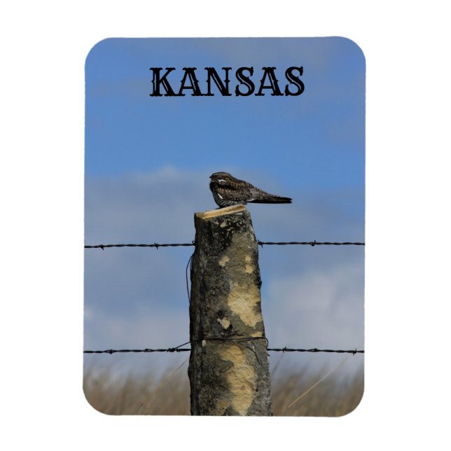 Ímã Hawk noturno dormindo em um imã Poste (Vertical)