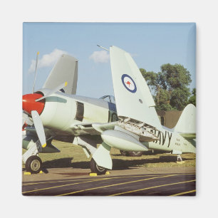 Imã Hawker Sea Fury no CAF, Minnesota Wing, no