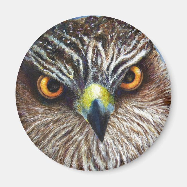 Imã Hawkeyes (Frente)