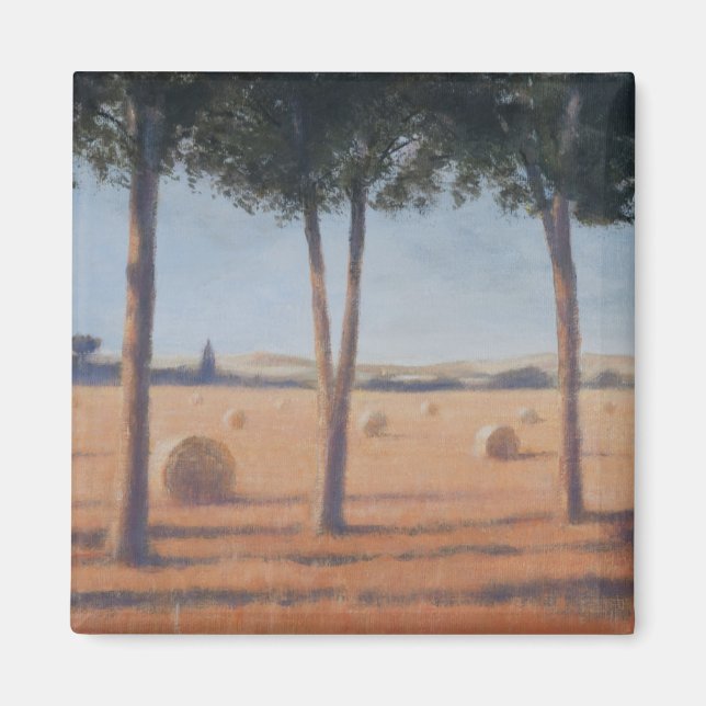 Imã Hay Bales and Pines Pienza 2012 (Frente)