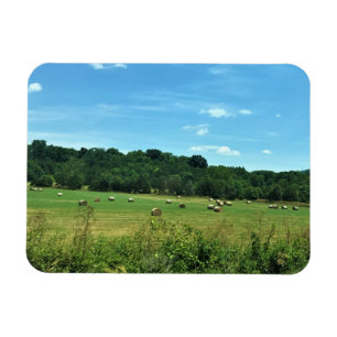Ímã Hay Bales, Wytheville, Virgínia