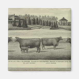 Imã Hayes, Olathe e Ellis Residence e Fazenda