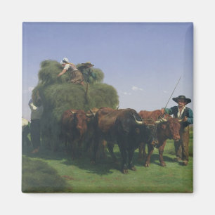Imã Haymaking, Auvergne
