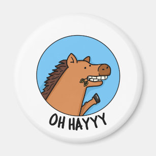 Imã Hayyyy Funny Horse Pun