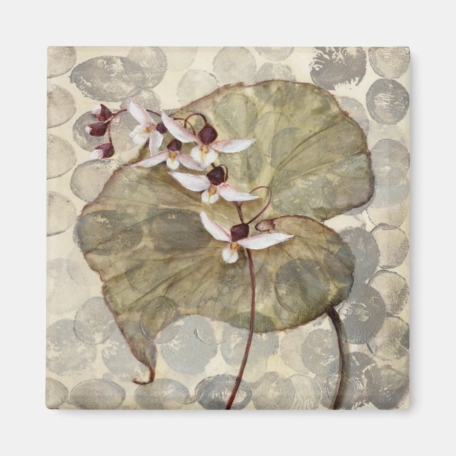 Imã HAZ24 Amazônia 2.tif (Frente)