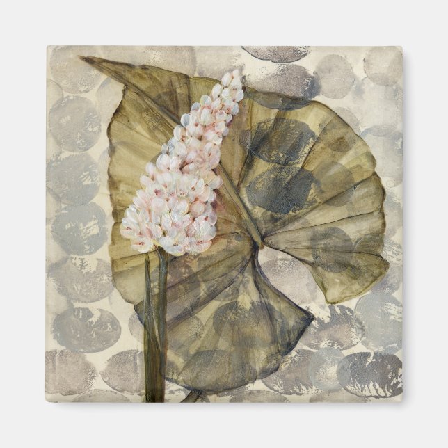 Imã HAZ25 Amazônia 3.tif (Frente)