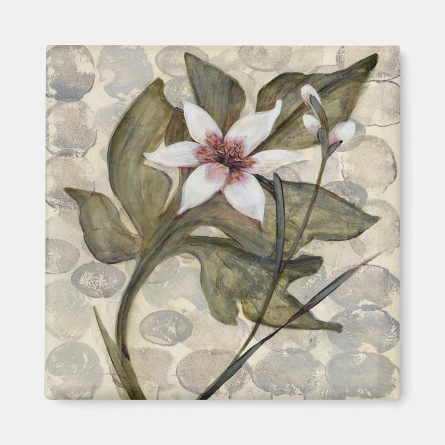 Imã HAZ26 Amazônia 4.tif (Frente)