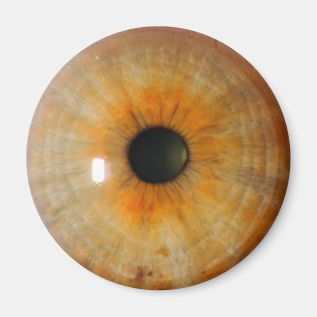 Imã hazel eye with freckles (Frente)