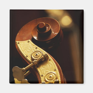Imã Headstock 2 do contrabaixo