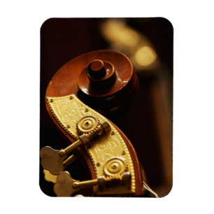 Ímã Headstock 2 do contrabaixo