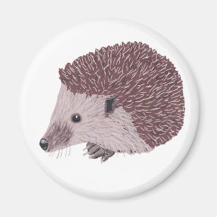 Imã Hedgehog