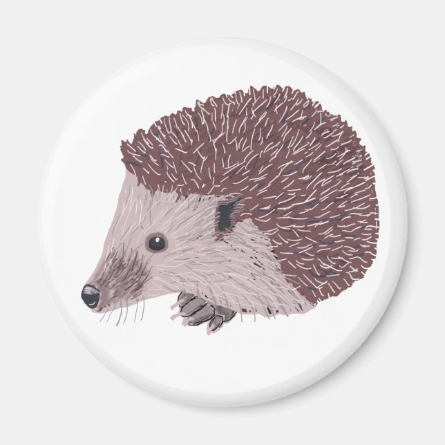 Imã Hedgehog (Frente)