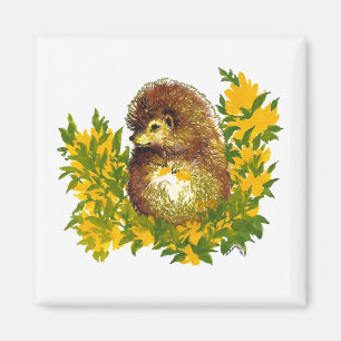 Imã Hedgehog Aquarela Frigorífico do Rico Impresso