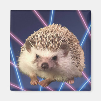 Imã Hedgehog - Imagem Laser em Segundo Plano