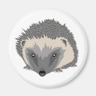 Imã Hedgehog Magnet