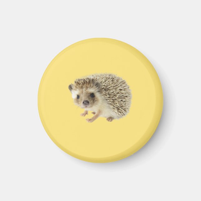 Imã Hedgehog Magnet (Frente)