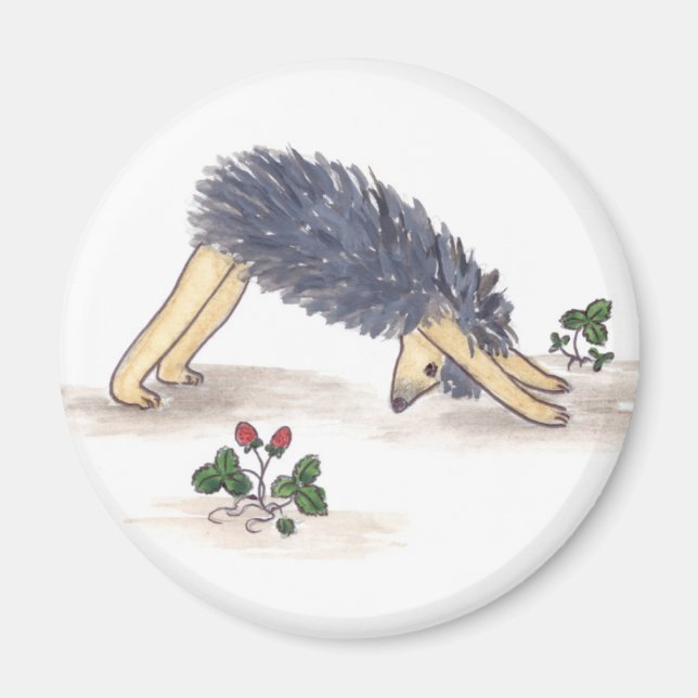 Imã Hedgehog Yoga (Frente)