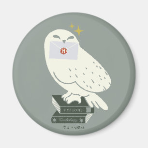 Imã Hedwig Com Desenho Caprichoso de Carta