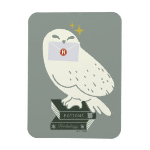 Ímã Hedwig Com Desenho Caprichoso de Carta