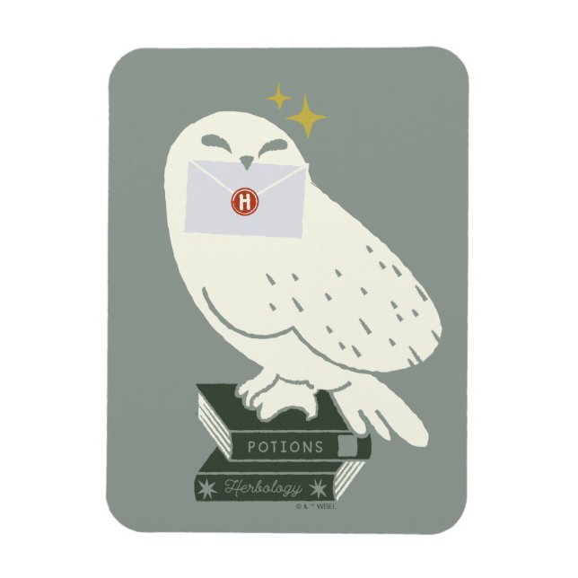 Ímã Hedwig Com Desenho Caprichoso de Carta (Vertical)