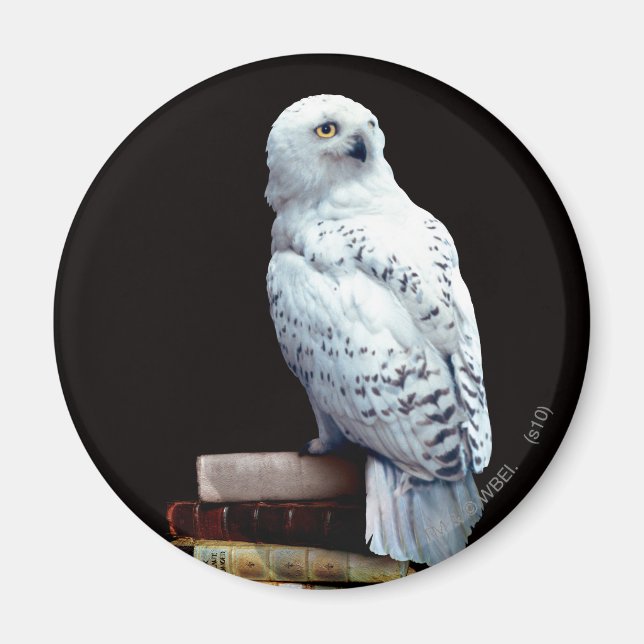 Imã Hedwig nos livros (Frente)