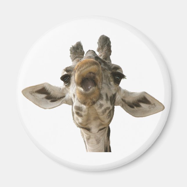 Imã Helaine's Goofy Giraffe (Frente)