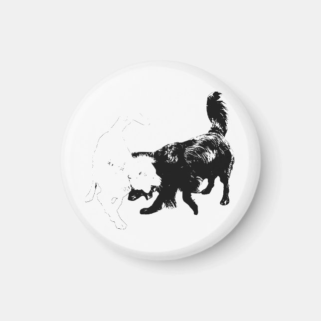 Imã Held By Motion (Frente)