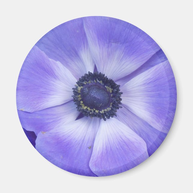 Imã Henrietta (Frente)