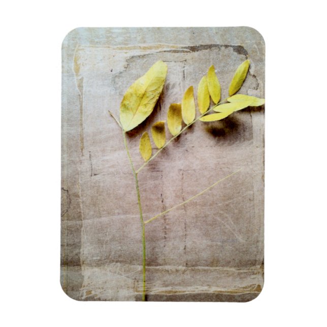 Ímã Herbário V (Vertical)