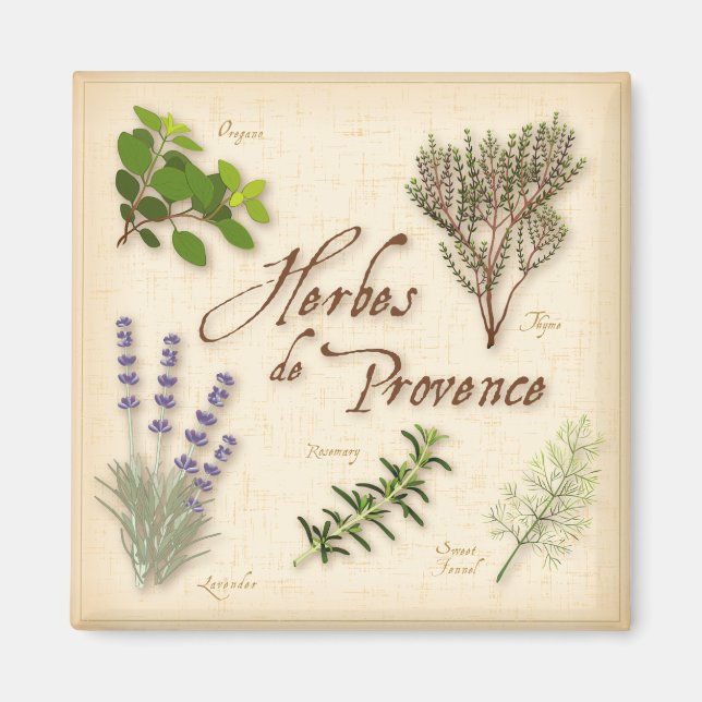 Imã Herbes de Provence Magnet (Frente)