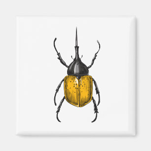 Imã Hercules beetle