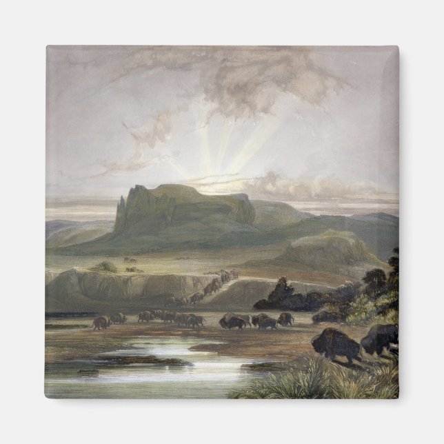 Imã Herd of Bison no Alto Missouri, placa 40 de (Frente)