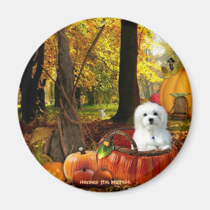 Imã Hermes o maltês