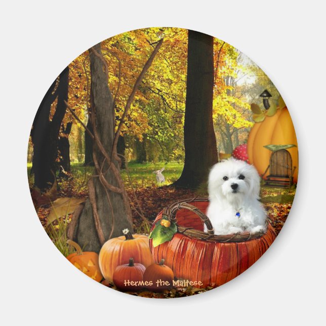 Imã Hermes o maltês (Frente)