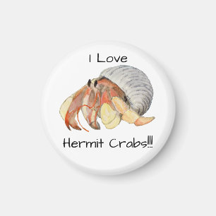 Imã Hermit Crab